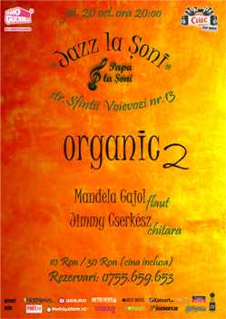 Jazz la Soni - Organic Duo