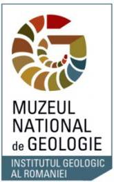 muzeul national de geologie